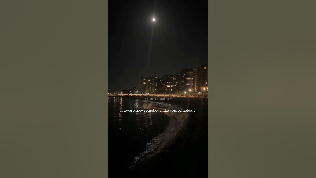 The Neighbourhood & Reflections #shortvideo#songs#youtubeshorts#yt#music#lyrics#lycrisvideo#ytshorts