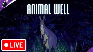 O NOVO GRANDE METROIDVANIA- Animal Well (PT-BR)