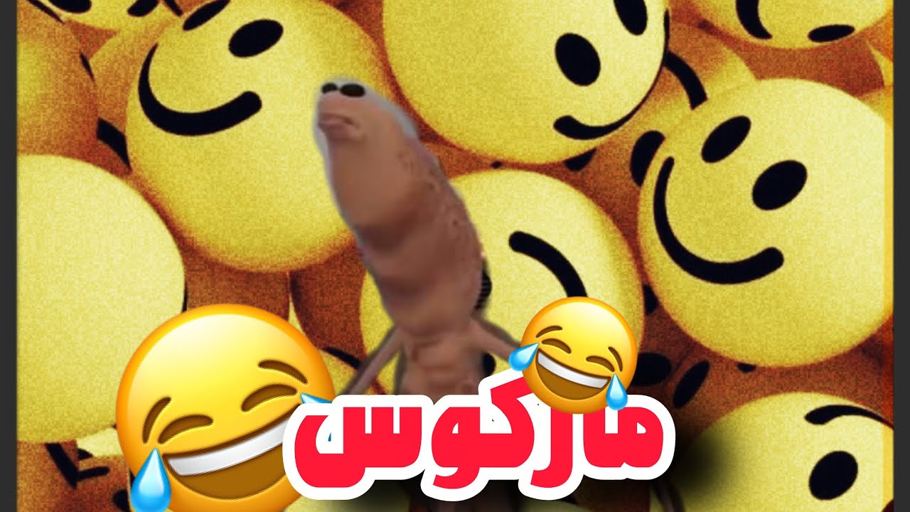 ماجرا های رابرت و مارکوس🔞😂❤