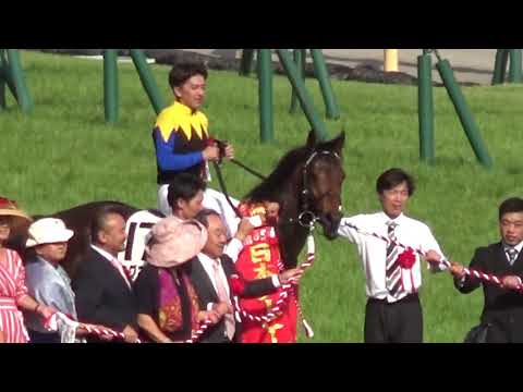 2018 日本ダービー 口取り式 ワグネリアン