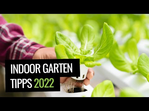 Video: Smart Garden Kit – Erfahren Sie mehr über intelligente Indoor-Gartensysteme