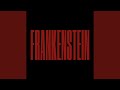 Miniature de la vidéo de la chanson Frankenstein (Joyhauser Mix)
