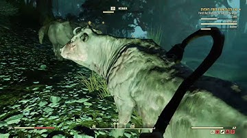 Fallout 76 Killing the sheepsquatch part 1