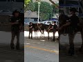 Downtown LA Police Activity @LAPDHQ