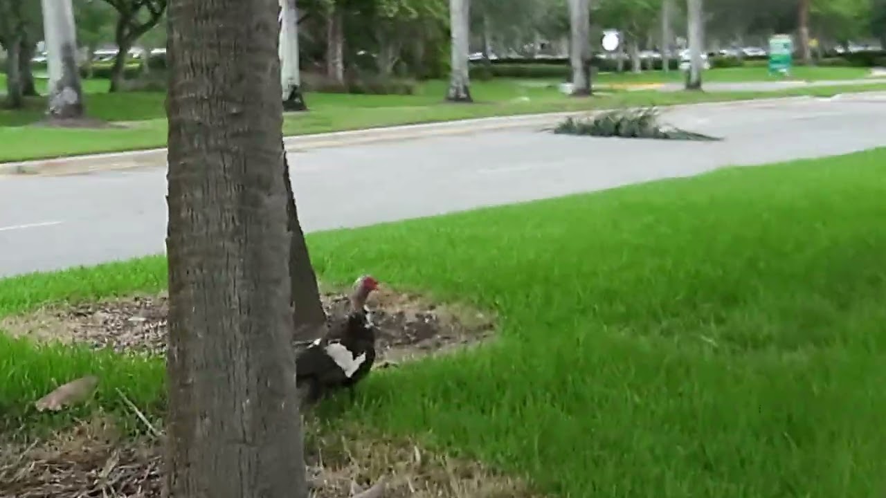 The first wave of the storm