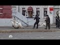 Обезумевшие лошади устроили переполох на Красной площади