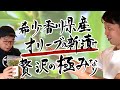 こんなに美味しいの？！【オリーブの新漬け】国産の旨みをまるごと当店でいただけます！