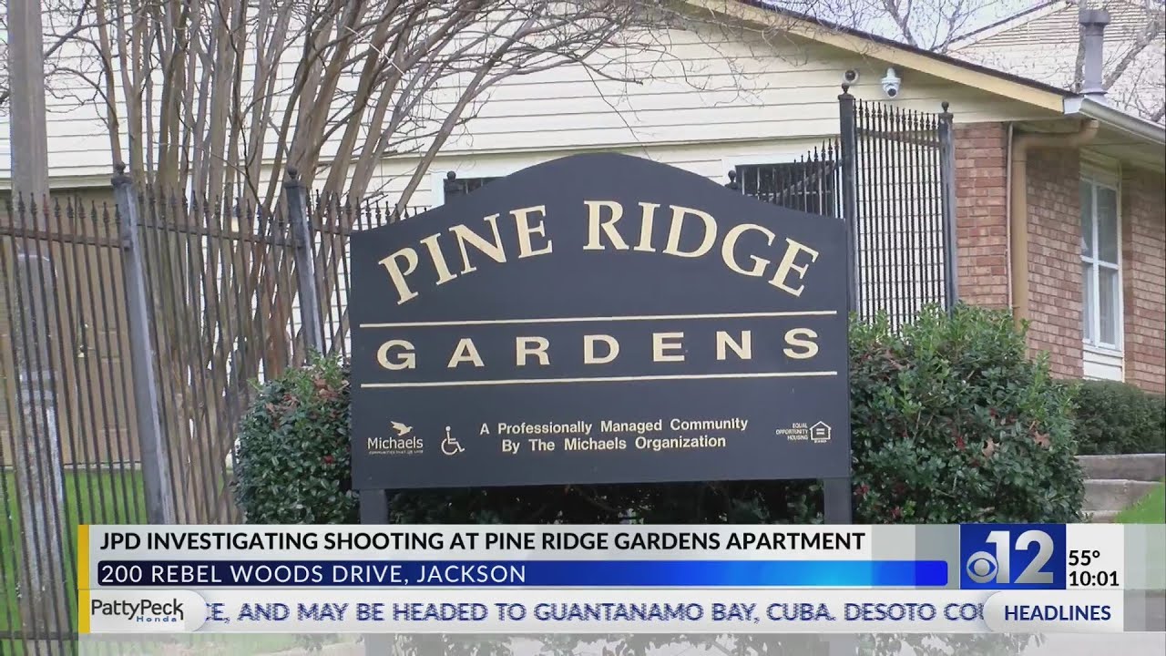 One killed in shooting at Jackson apartment complex - YouTube