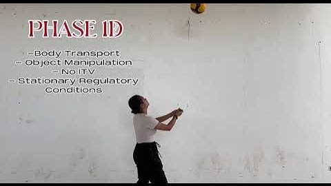 Gentiles Taxonomy of Motor Skills