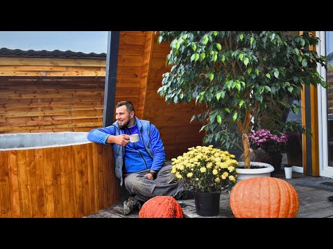 🏡🔍 Домик в БЕЛОРУССКОЙ ДЕРЕВНЕ: поиски продолжаются! Что такое ЛИСТВЕННИЦА и где её найти? 🍃