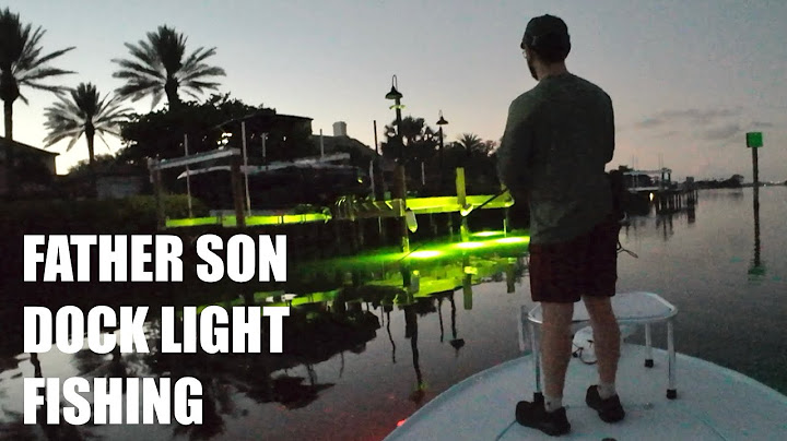 Father’s Day Trip