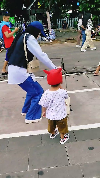 #kotatua