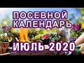 Лунный ПОСЕВНОЙ календарь на ИЮЛЬ 2020 🌱 КАЛЕНДАРЬ ОГОРОДНИКА и САДОВОДА