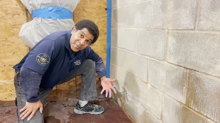 The Basement Kings explaines Efflorescence, where it's from & how it's removed permanently. Willie K