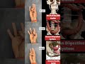 powerful mudras #health #human #system #mudra #shorts #yoga #shortsvideo #viralvideo #youtubeshorts