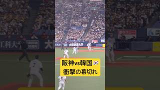 衝撃の幕切れ🫨阪神vs韓国🇰🇷 2026/3/2 #WBC #阪神タイガース #侍ジャパン　#大谷翔平　#shoheiohtani