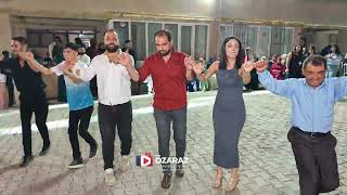 Bawer Beyani̇ Muş Halaylari