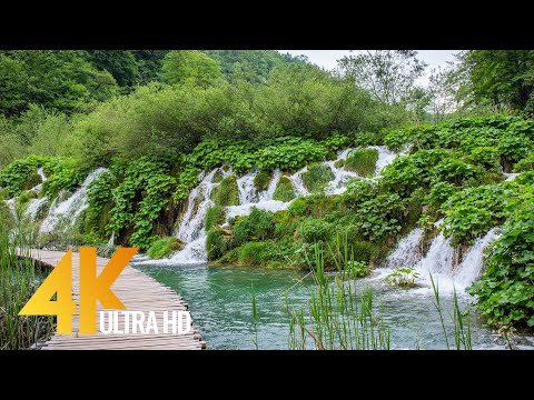 Plitvice Lakes National Park in 4K, Croatia - Nature Walking Tour - Short Preview Video
