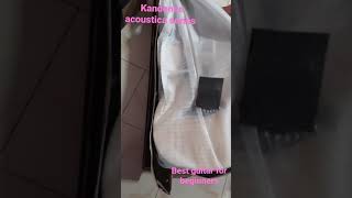 kandence acoustica series | semi acoustic |guitar | best guitar  beginners | Budget guitar #shorts