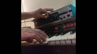 Roland Analog Echo DC-20 demo