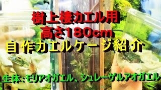 樹上棲カエル用 高さ１８０ｃｍ自作ケージ紹介 Youtube