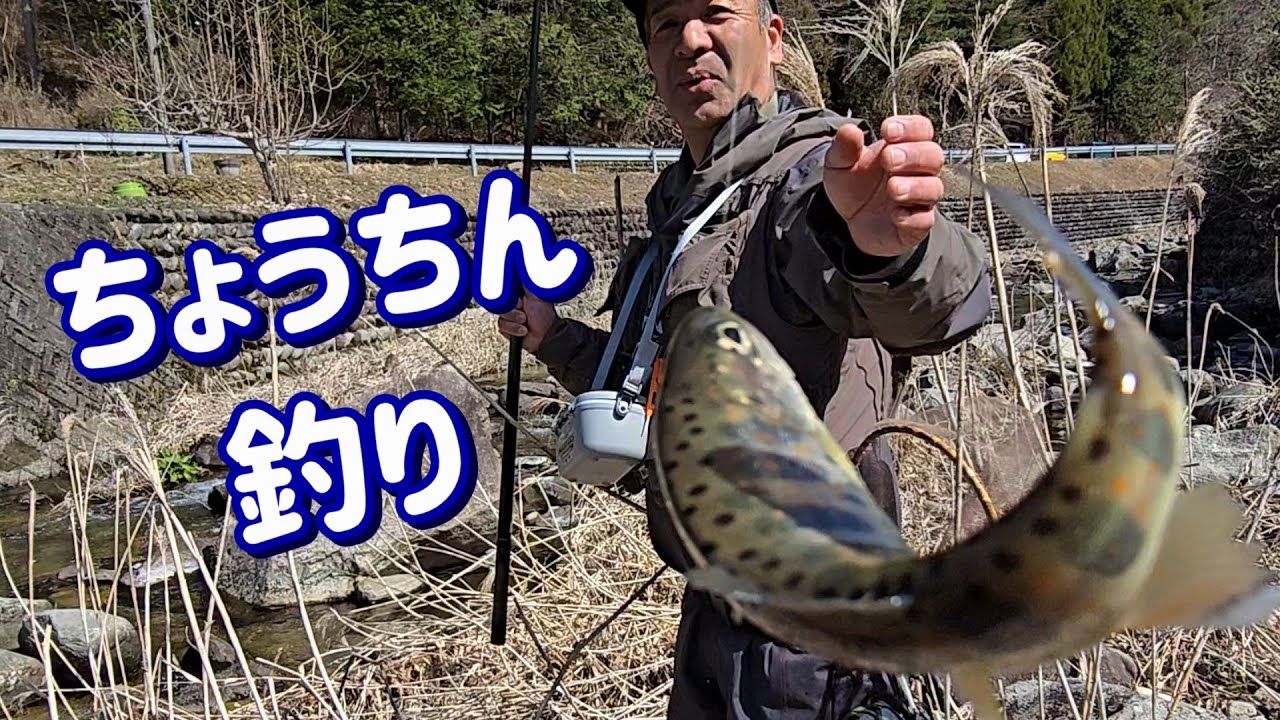 【名手に学ぶアマゴ提灯釣り】和良川 大澤組合長　谷川名人