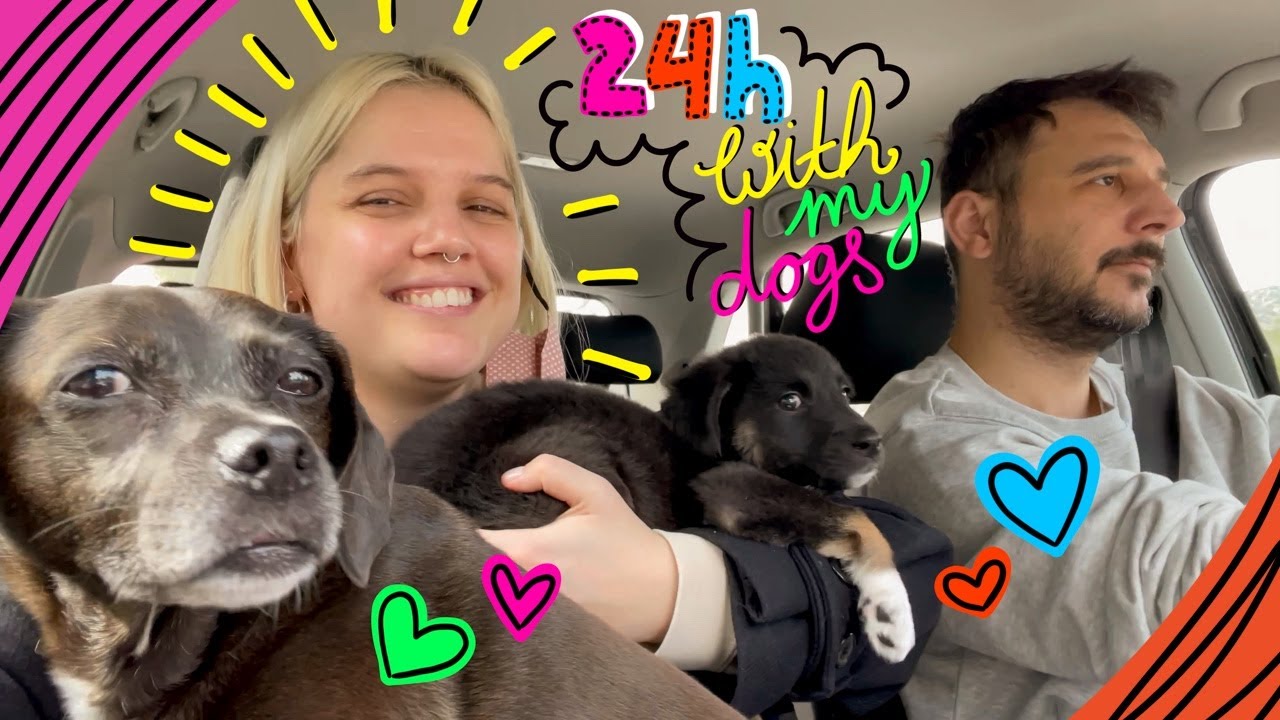 24 ώρες με τα σκυλιά μου • 2 μηνών και 9 χρονών | Mikri Ollandeza