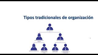 Tipos tradicionales de organización y departamentalización