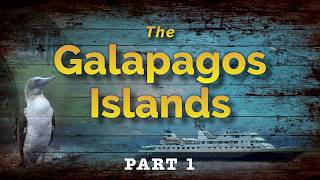 Galápagos Islands (PART 1): An Anamorphic Journey Through Nature's Wonderland.