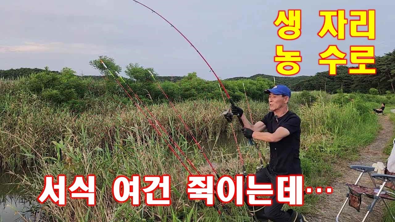 생 자리 농 수로 서식 여건 쥑이네 - YouTube
