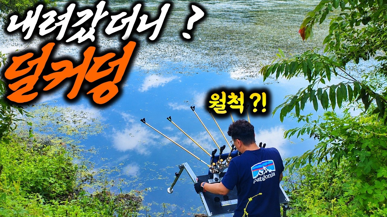 와! 나만 몰랐나봐? 대충 내려가서 낚시했더니 대물 붕어가 나와버렸다~ | 무료낚시터 주소 공개