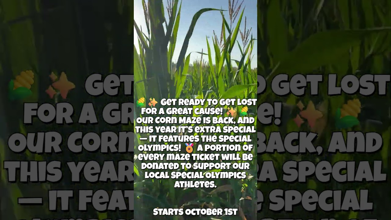2025 Corn Maze Video