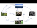 The Carbon Cycle | GCSE Science | Biology