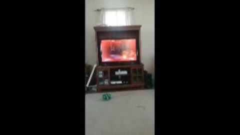 Glitch found in DOOM 2016