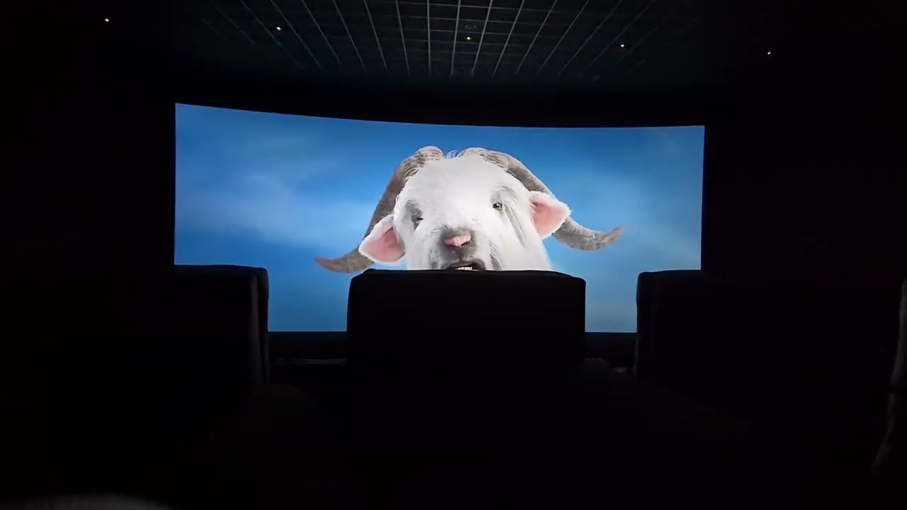 Paramount+ - Turn Off Your Phone