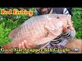 Good Size Snapper Fish Caught🎣🐟#rodfishing #snapperfishing #fishing #mangrovejack #snapperfish