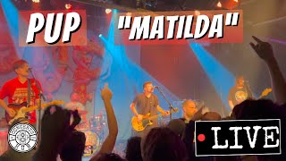 PUP &quot;Matilda&quot; LIVE