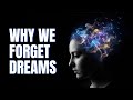The Real Reason You Can't Remember Dreams