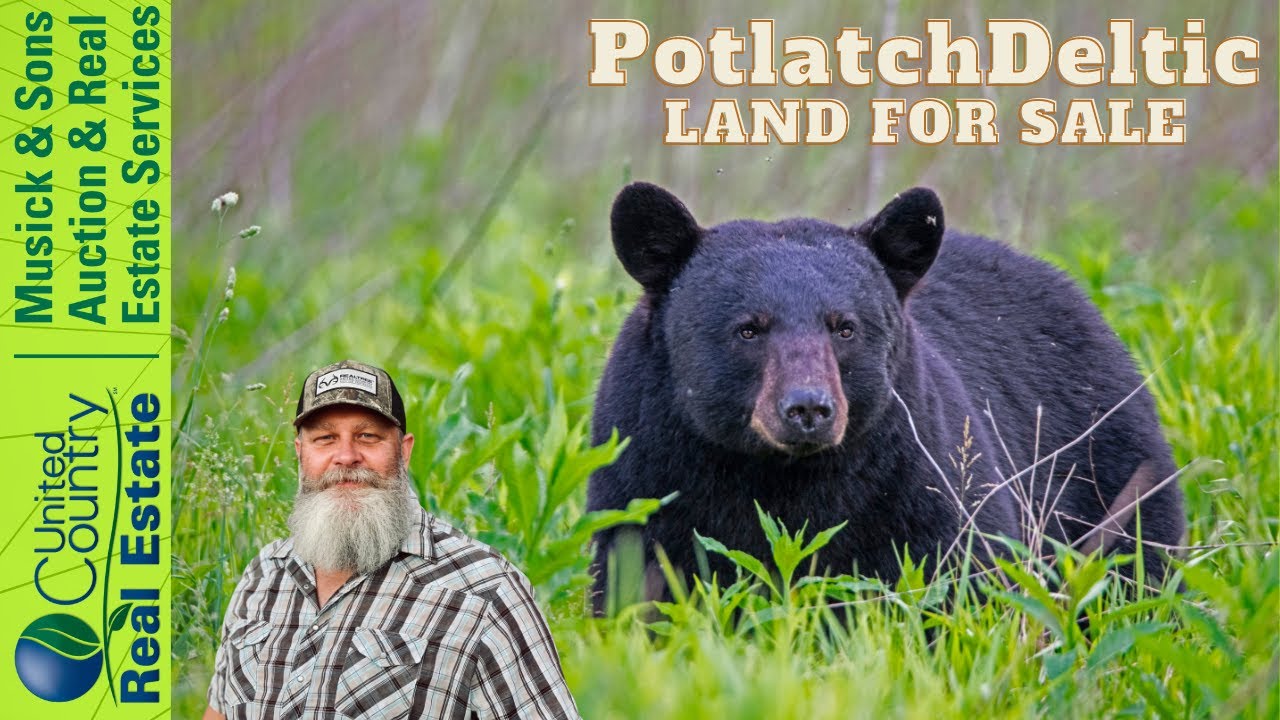 2022 Orofino, Idaho land for sale coming soon YouTube