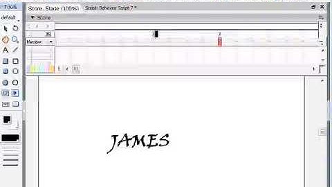 10 02 Using Flash SWF Files in Director