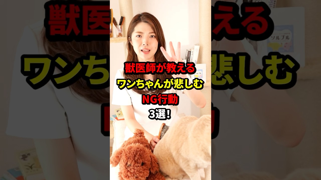 犬が悲しむNG行動3選