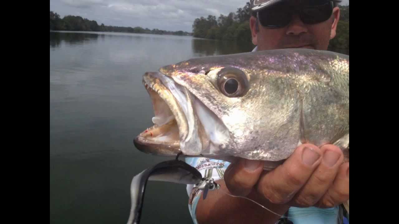 Fishing Port Macquarie Hastings River YouTube