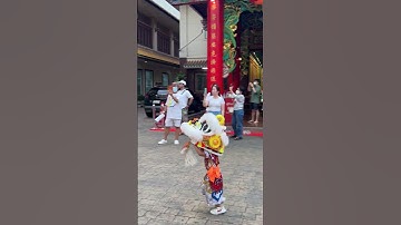 Thumbnail of 🥰🥰 Small  Lion Dance Performer