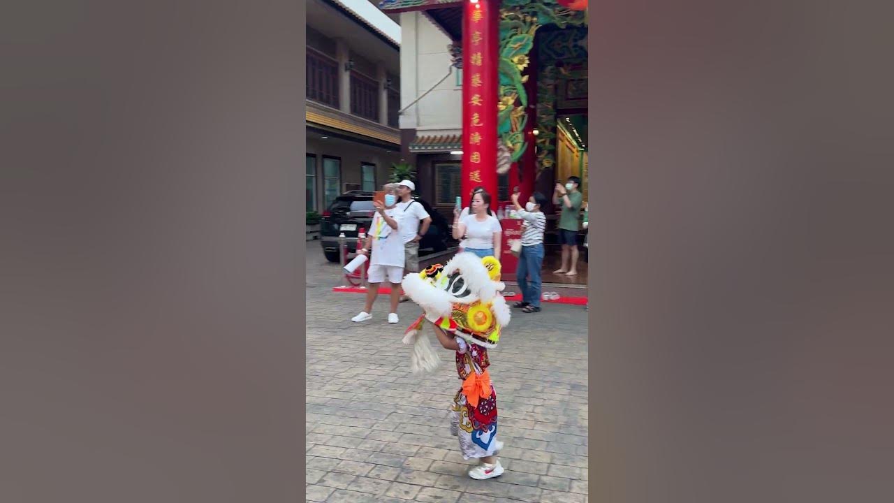 🥰🥰 Small  Lion Dance Performer