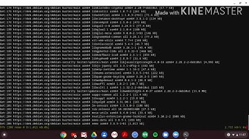 Linux File Manager on Chromebook