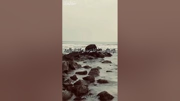 تلاوة خاشعة: ﴿زُيِّنَ لِلنَّاسِ حُبُّ الشَّهَوَاتِ﴾ - سورة آل عمران | القارئ أسامة القاضي🤎🍂