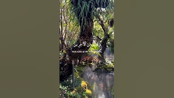 {وَالسَّابِقُونَ السَّابِقُونَ} سورة الواقعة آيات 10-18