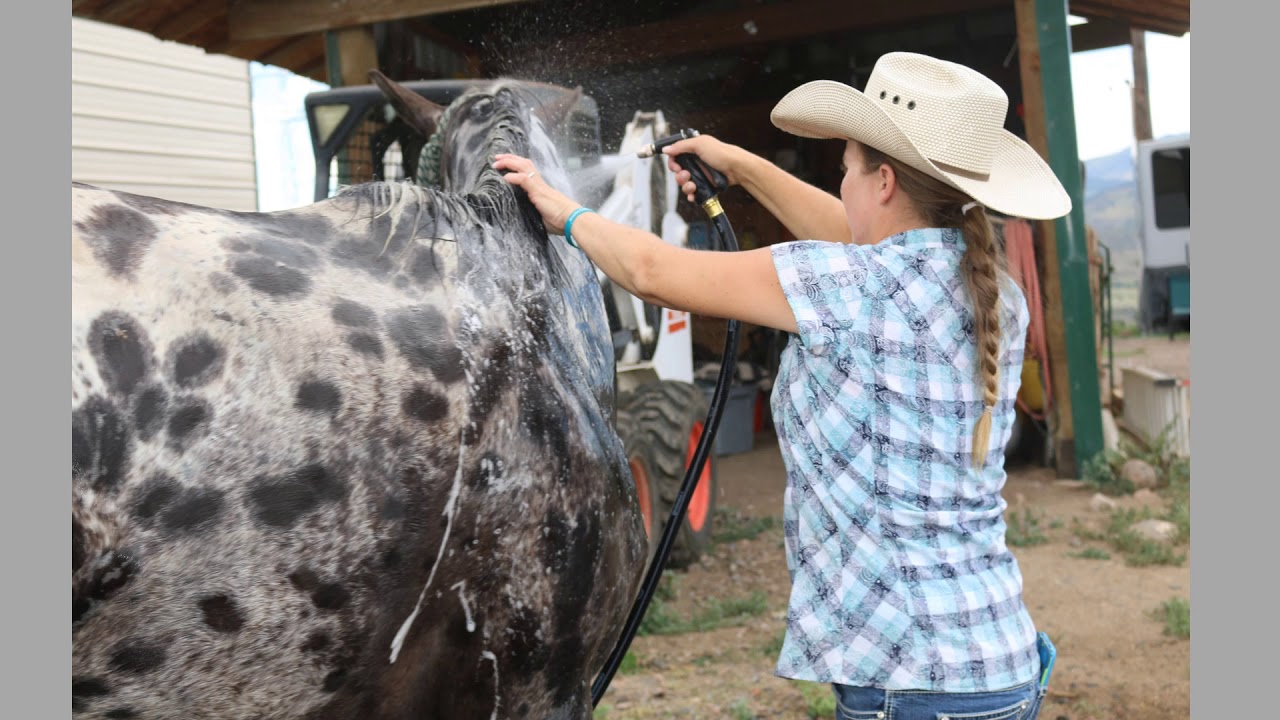 Bulletproof Photo Slideshow