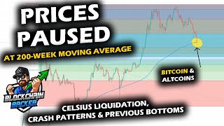 ЦЕНЫ ОТДЫХАЮТ, поскольку график цен на биткойны остановился на 200-недельной скользящей средней, рынок альткойнов ATH