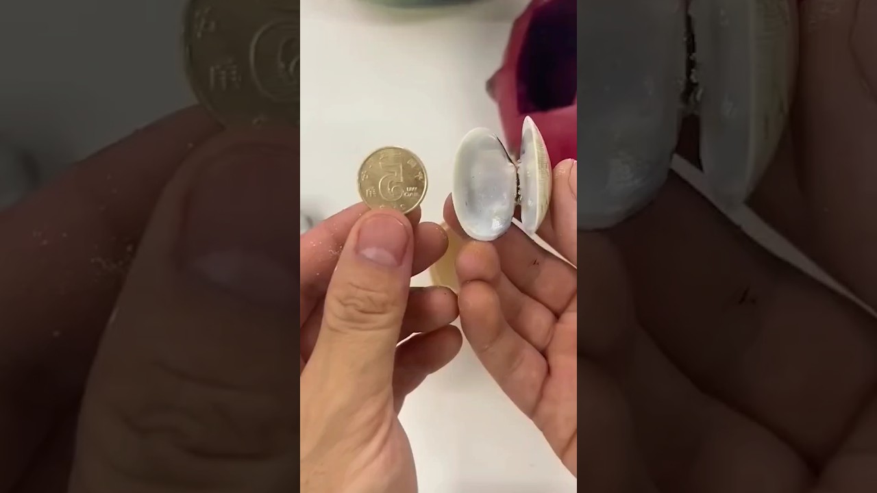 World best security of coin🤣😂